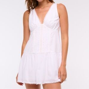Abercrombie & Fitch V-Neck Lace-Trim Mini Dress
